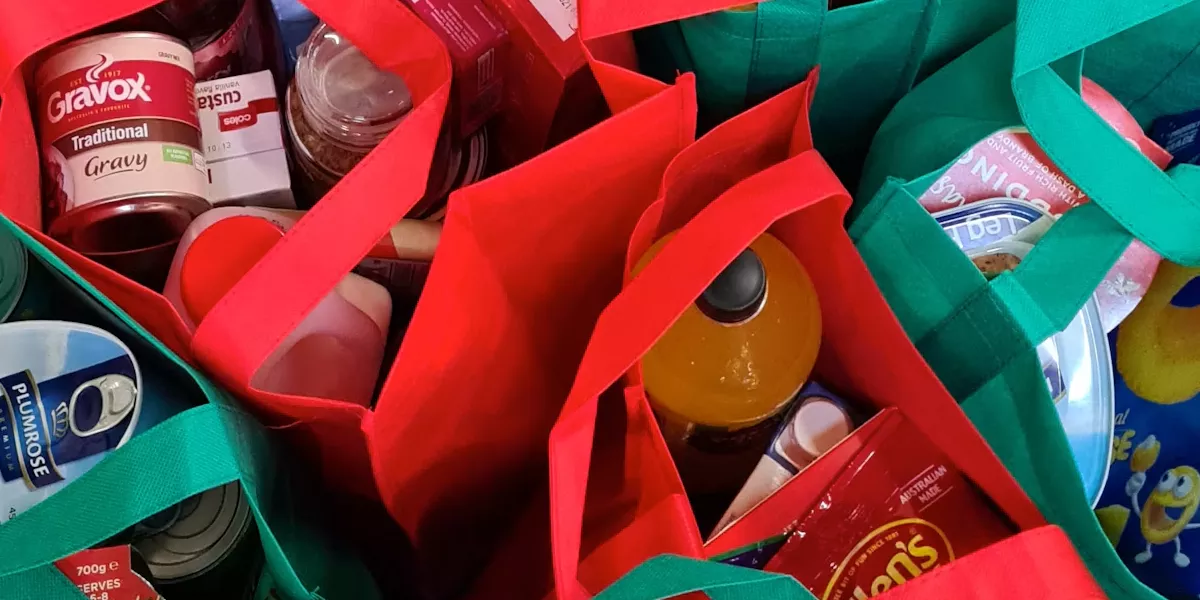 What a Not-for-Profit Website Needs to Bring In Donations and Volunteers